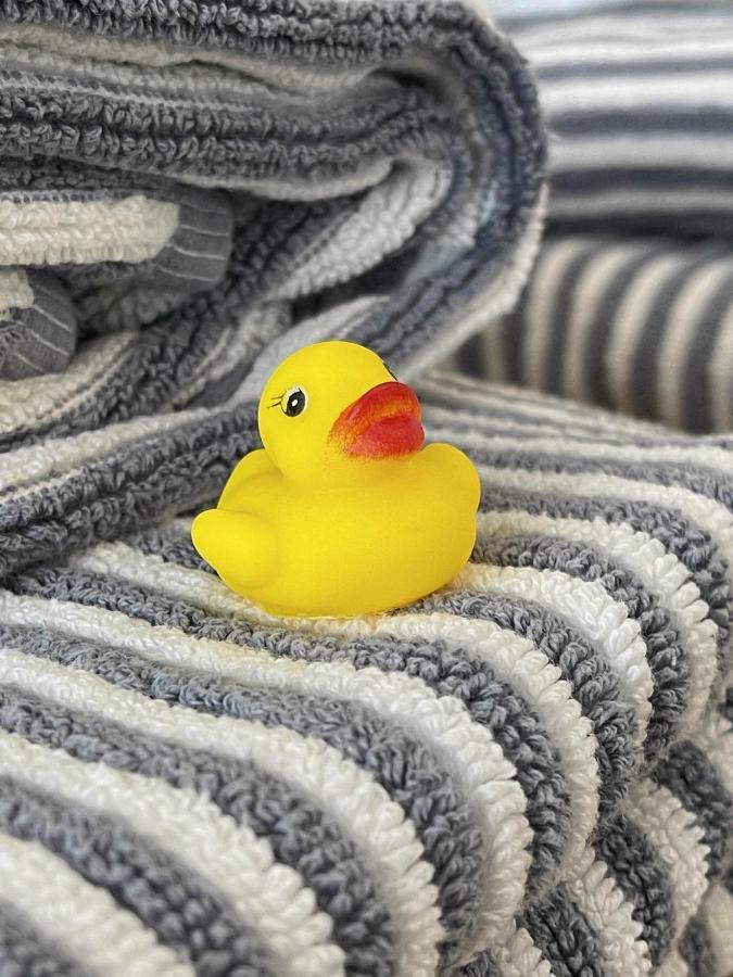 شقة Little Haven دارتموث المظهر الخارجي الصورة